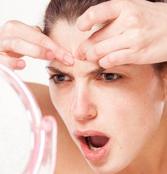 Mulberry Rose Tea 250g (10g x 25 bags) x 2 packages