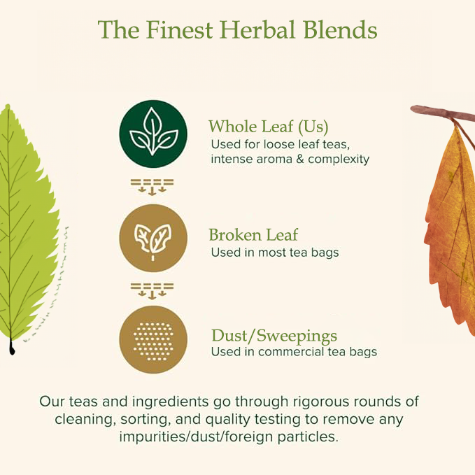 Goddess Loose Leaf Herbal Fruit Flower Tea - Pear Loquat Tea & Honeysuckle Chrysanthemum Tea - 100 teabags (17.6oz) - Lungs, Coughs, Deto